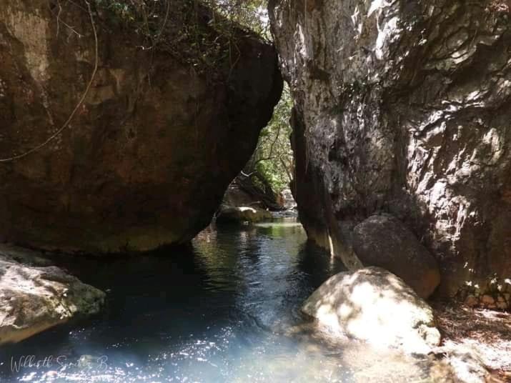 Pochote Lodge Guayabo  Esterno foto